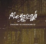 paradise-of-paradigms-front-cover